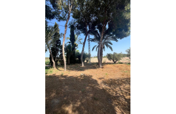 Venta - Country land - Matola - Algoda-Matola-Llano de San José