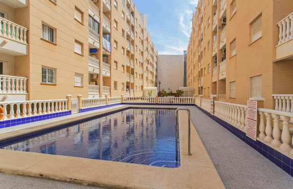 Venta - Piso - Torrevieja - Estacion de autobuses