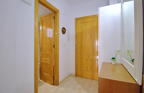 Venta - Piso - Torrevieja - Estacion de autobuses