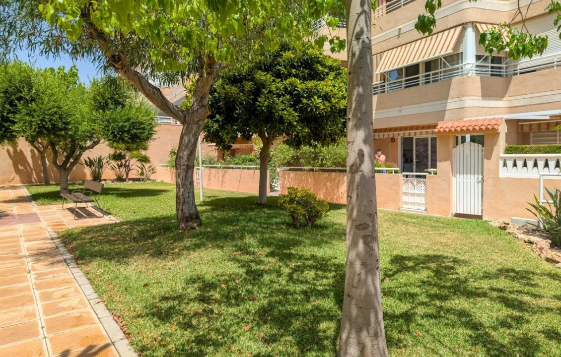 Venta - Piso - Elche - Playa arenales del sol