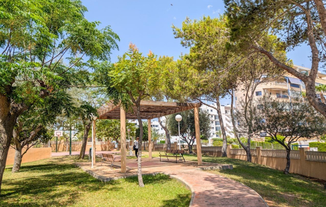 Venta - Piso - Elche - Playa arenales del sol