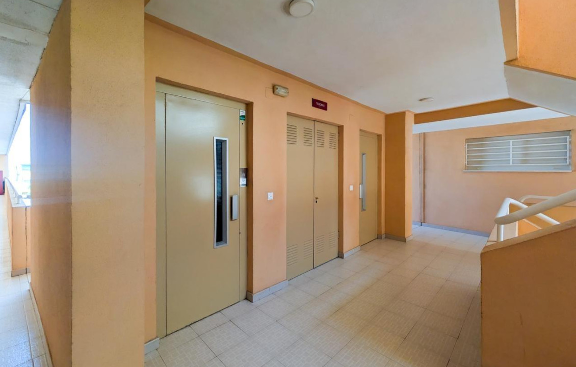 Venta - Piso - Elche - Playa arenales del sol