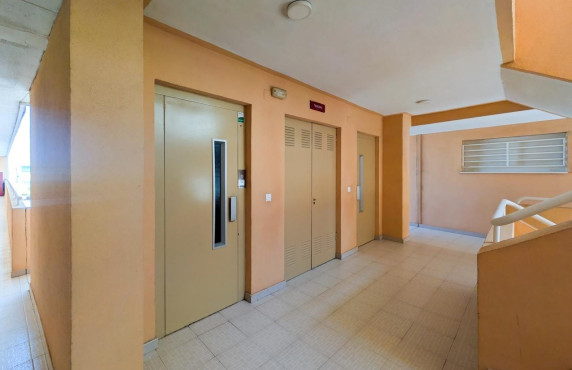 Venta - Piso - Elche - Playa arenales del sol