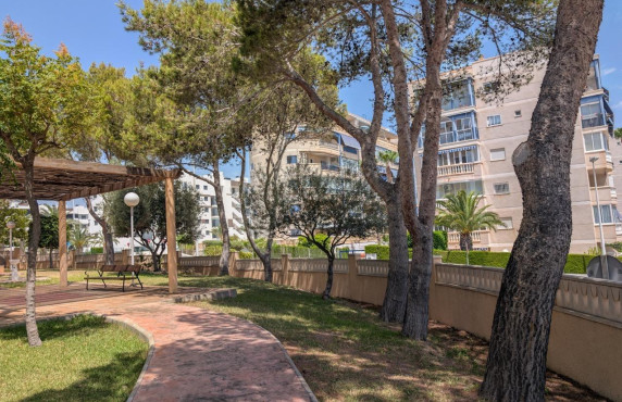 Venta - Piso - Elche - Playa arenales del sol