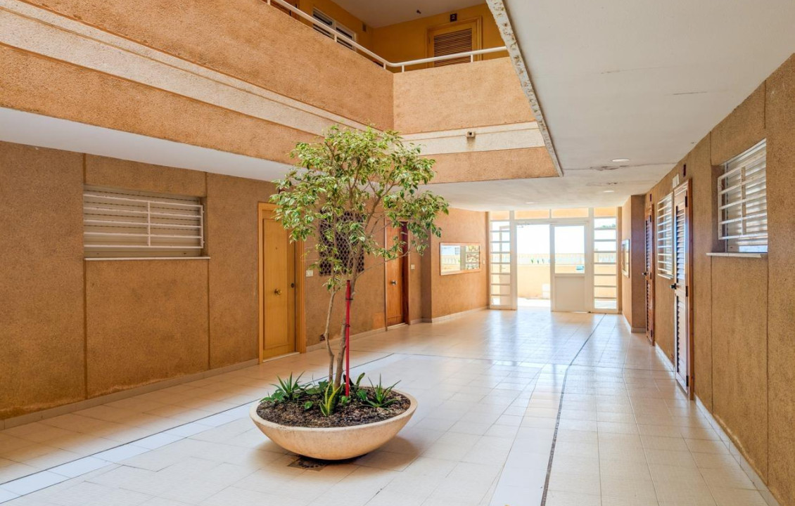 Venta - Piso - Elche - Playa arenales del sol