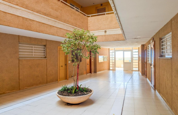 Venta - Piso - Elche - Playa arenales del sol