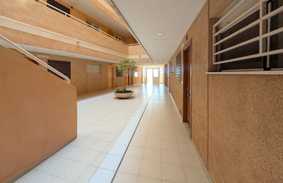 Venta - Piso - Elche - Playa arenales del sol