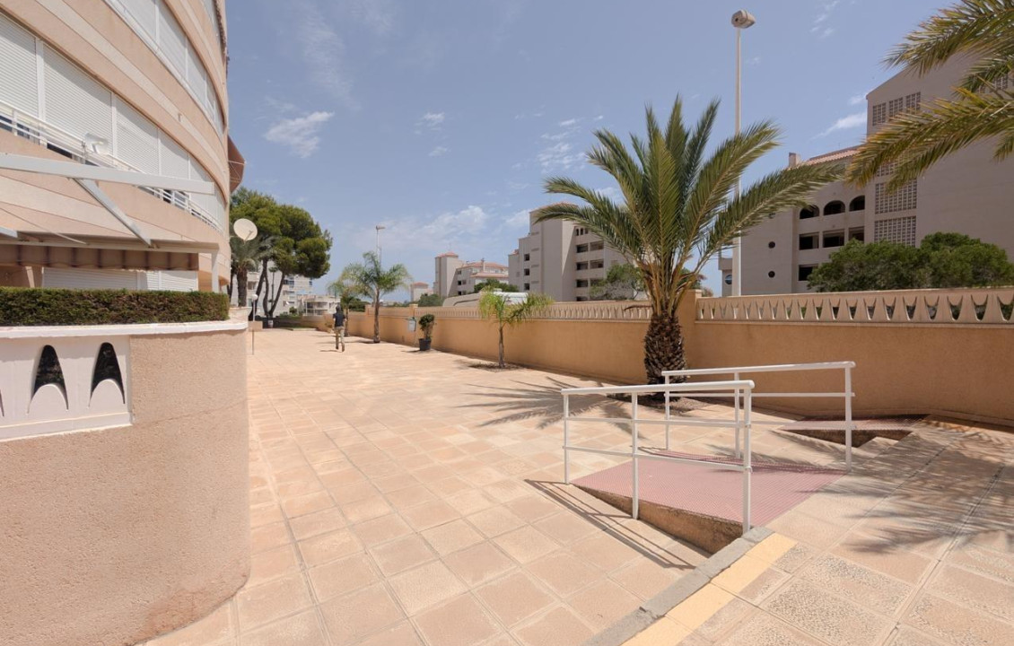 Venta - Piso - Elche - Playa arenales del sol