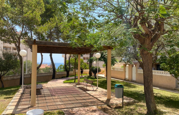 Venta - Piso - Elche - Playa arenales del sol