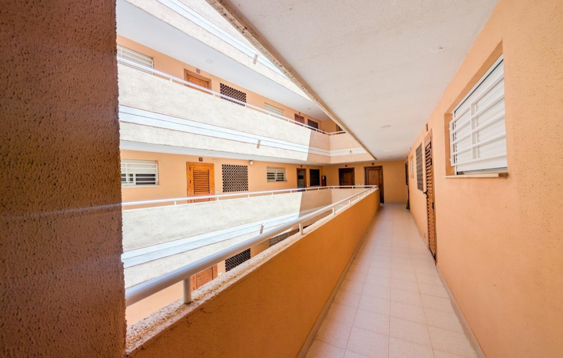 Venta - Piso - Elche - Playa arenales del sol