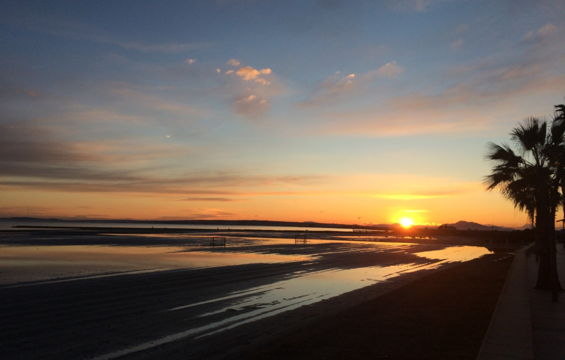 Alquiler Temporal - Piso - Santa Pola
