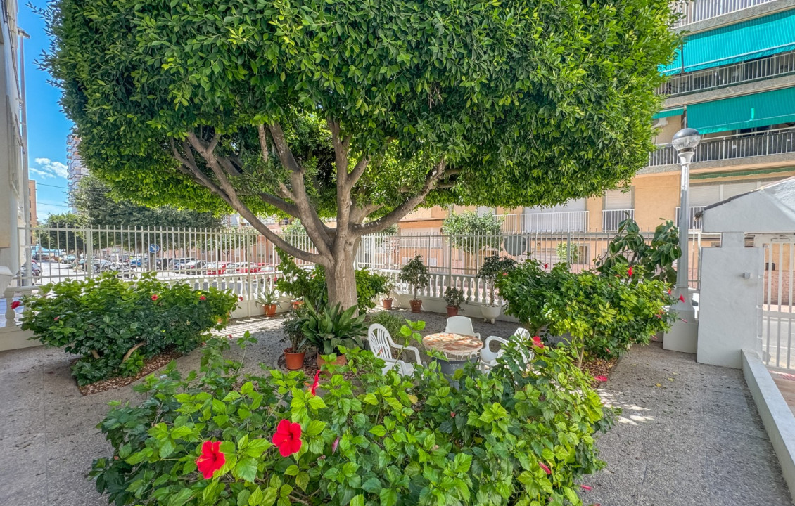 Seasonal Rental - Apartment - Santa Pola - Playa Levante