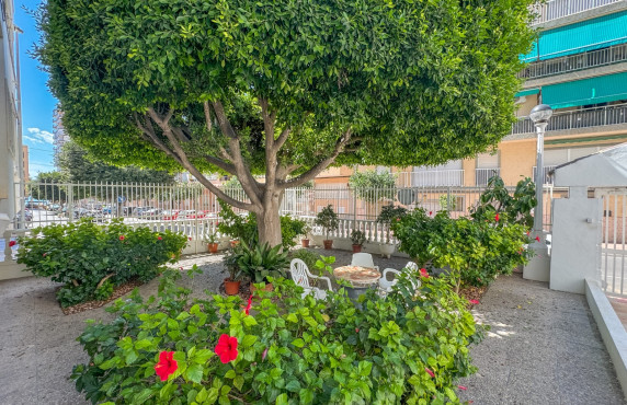 Seasonal Rental - Apartment - Santa Pola - Playa Levante