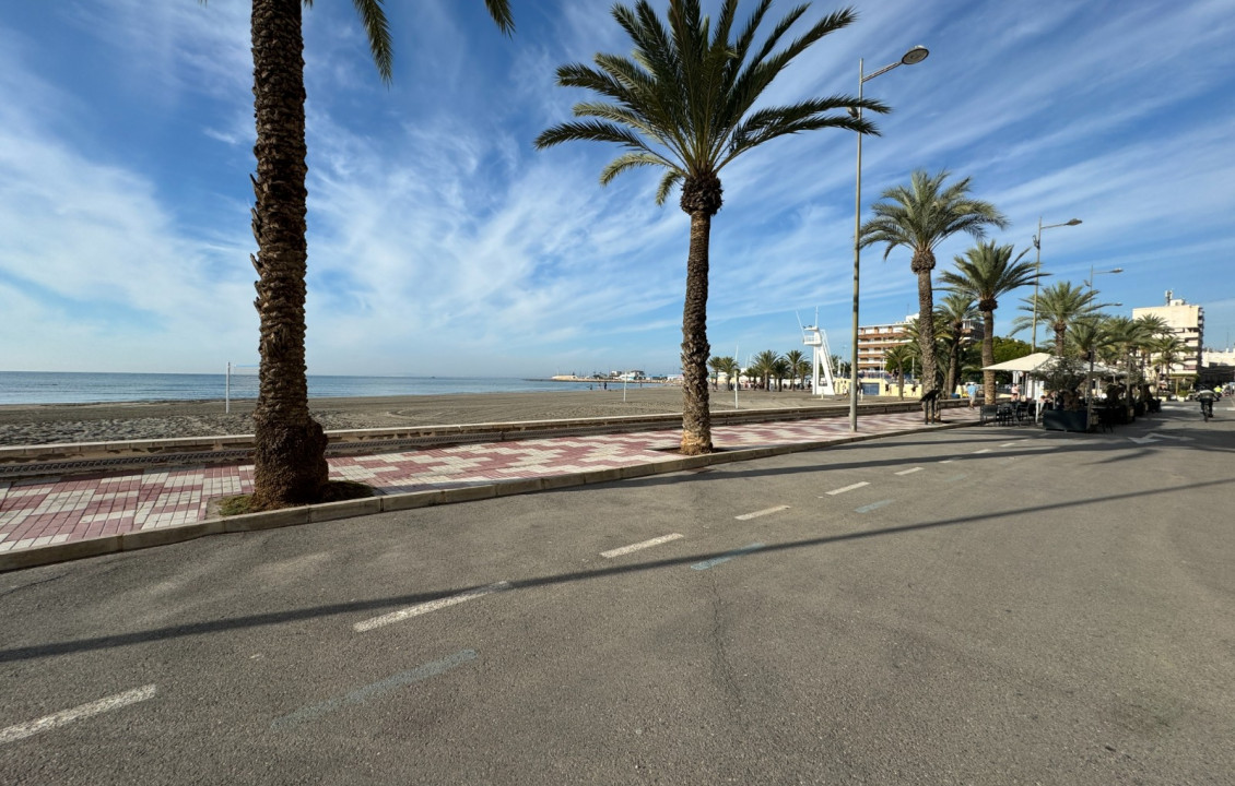 Seasonal Rental - Apartment - Santa Pola - Playa Levante