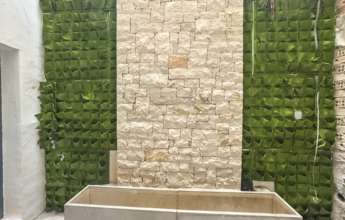 Alquiler Larga Estancia - Local comercial - Elche - Centro