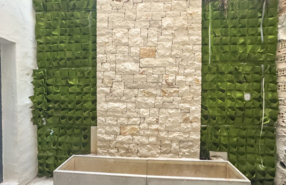 Alquiler Larga Estancia - Local comercial - Elche - Centro