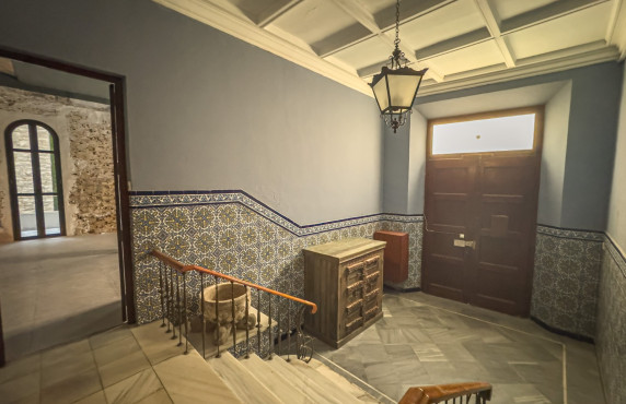 Alquiler Larga Estancia - Local comercial - Elche - Centro