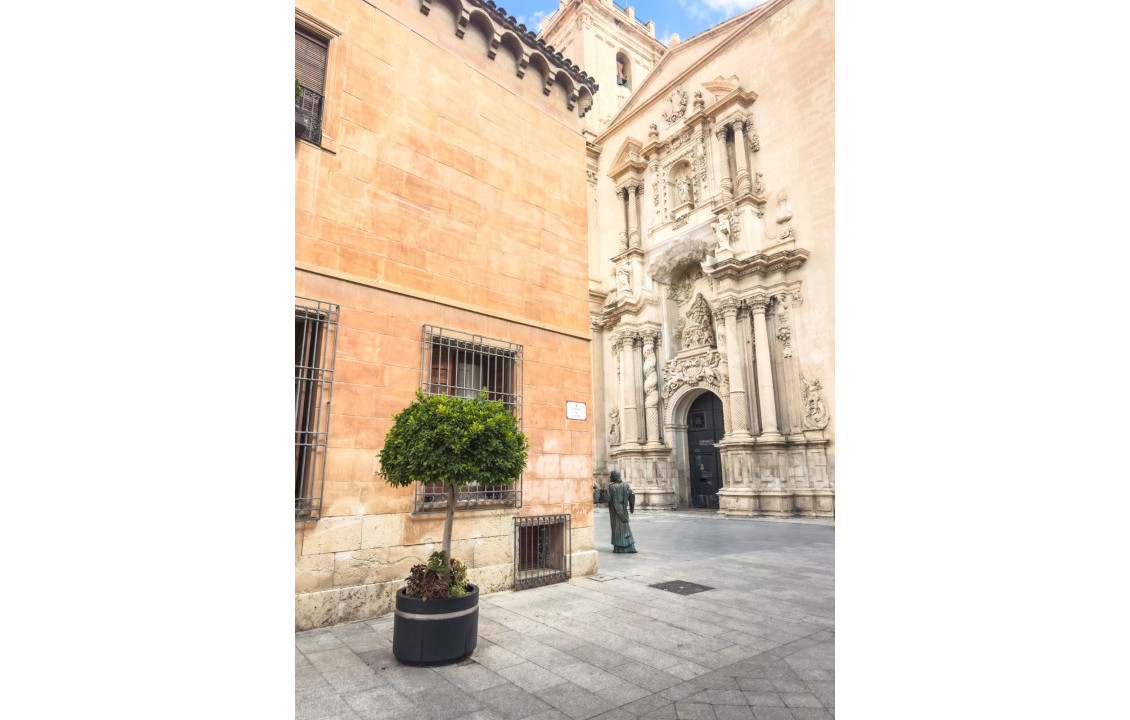 Alquiler Larga Estancia - Local comercial - Elche - Centro