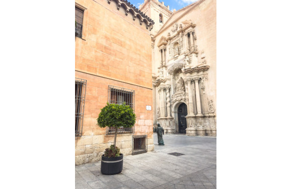 Alquiler Larga Estancia - Local comercial - Elche - Centro