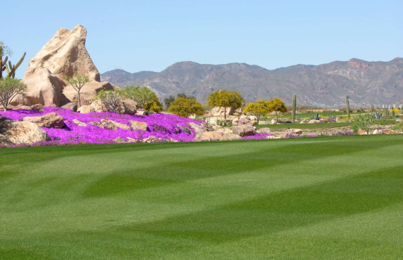 Venta - Apartamento - Cuevas del Almanzora - Villaricos