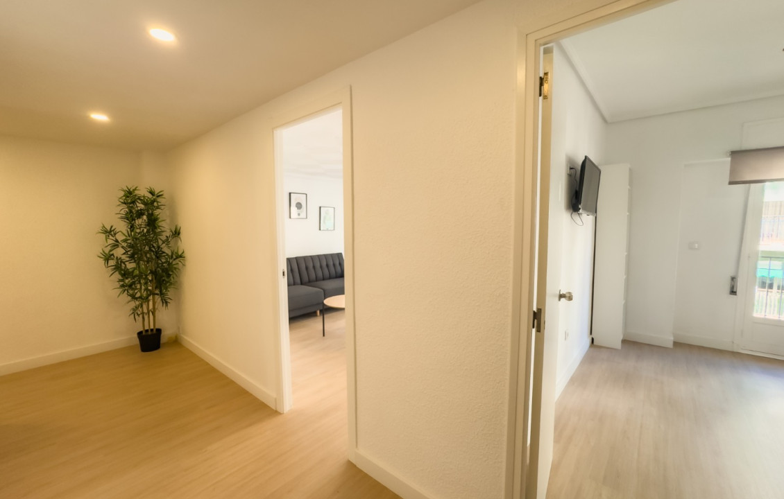 Alquiler Larga Estancia - Piso - Elche - OSCAR ESPLA