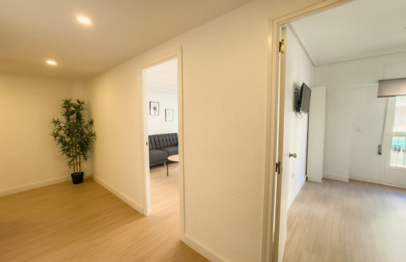 Alquiler Larga Estancia - Piso - Elche - OSCAR ESPLA