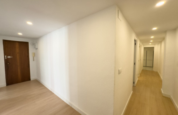 Alquiler Larga Estancia - Piso - Elche - OSCAR ESPLA