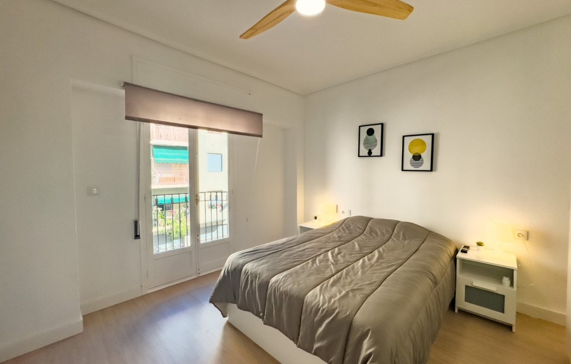 Alquiler Larga Estancia - Piso - Elche - OSCAR ESPLA