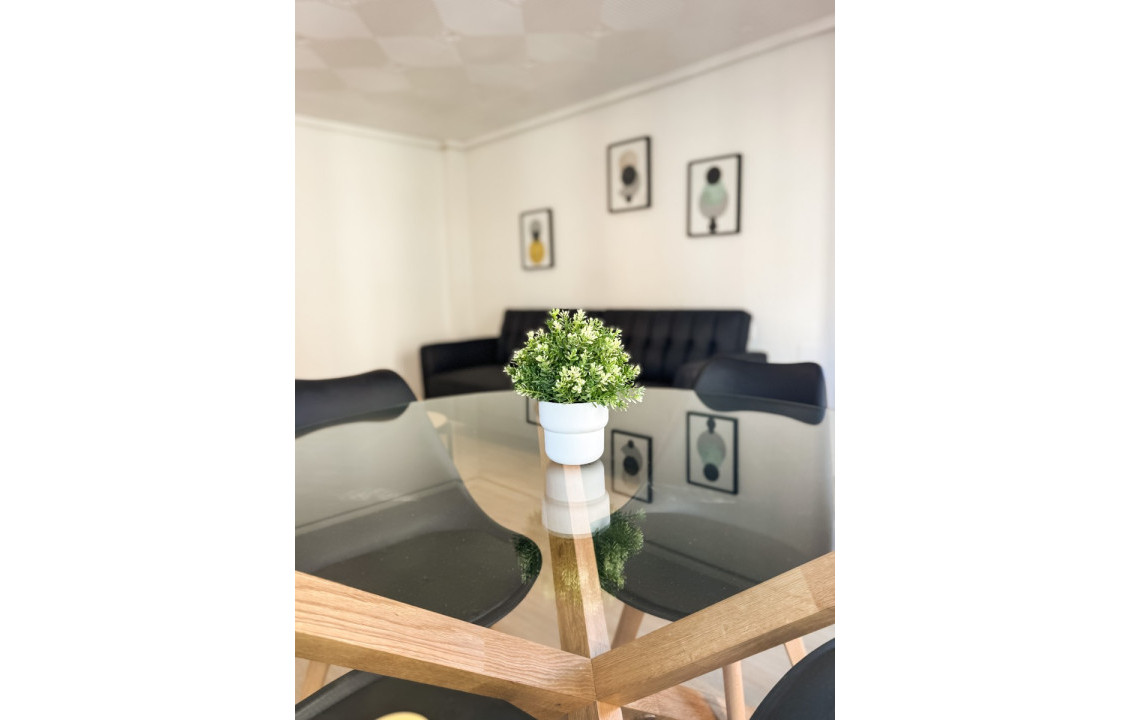 Alquiler Larga Estancia - Piso - Elche - OSCAR ESPLA