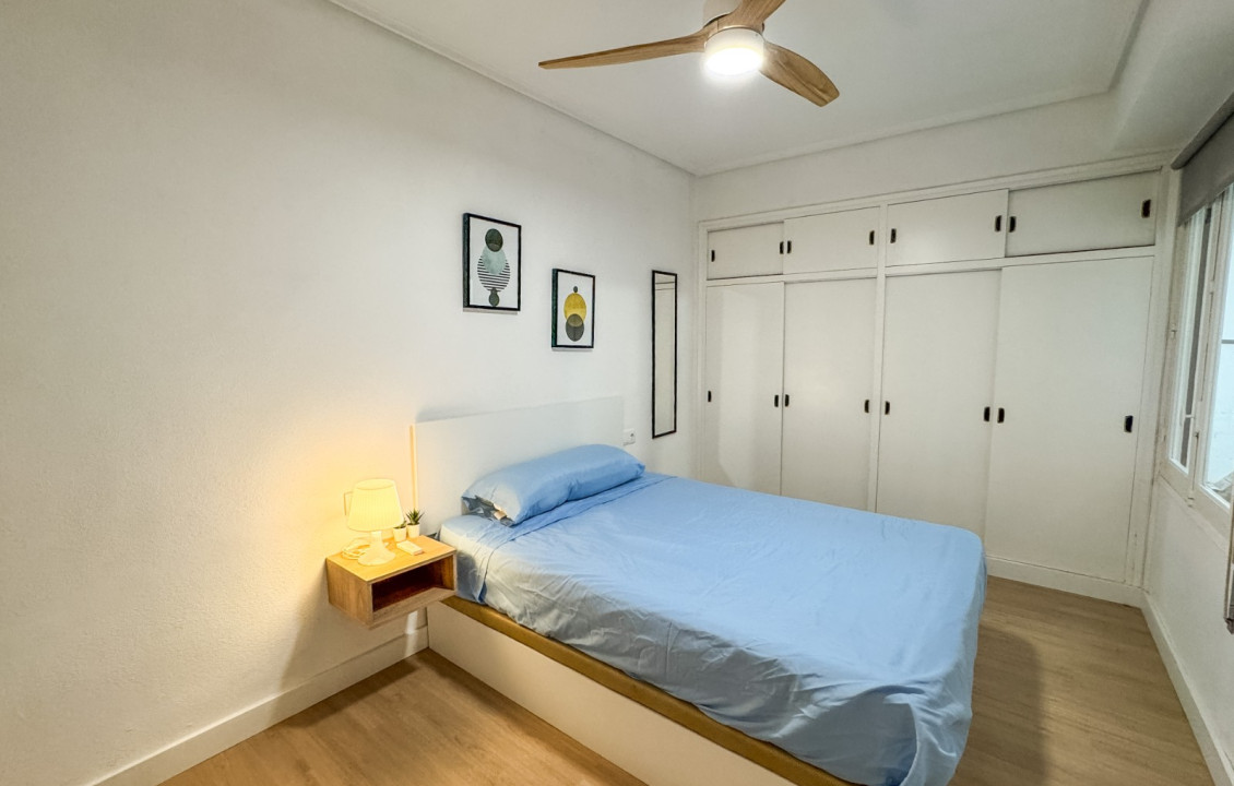 Alquiler Larga Estancia - Piso - Elche - OSCAR ESPLA