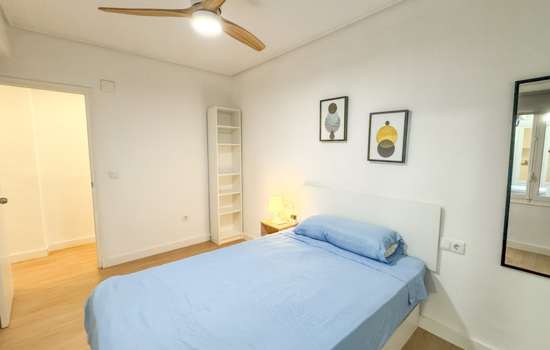 Alquiler Larga Estancia - Piso - Elche - OSCAR ESPLA