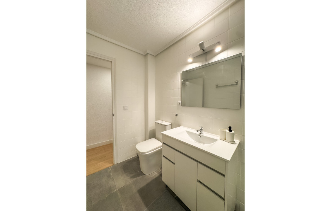 Alquiler Larga Estancia - Piso - Elche - OSCAR ESPLA