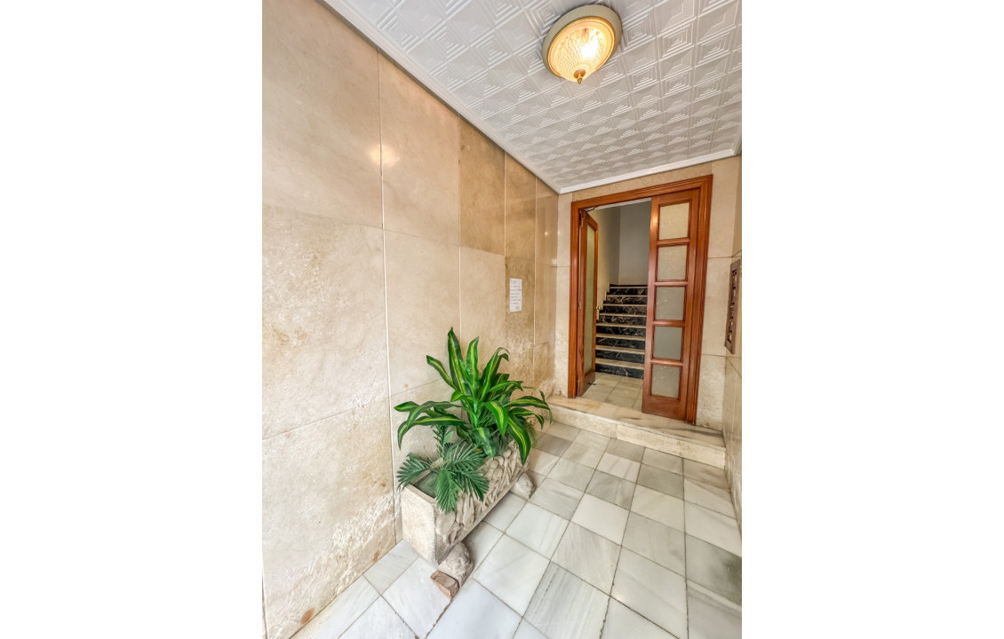 Alquiler Larga Estancia - Piso - Elche - OSCAR ESPLA