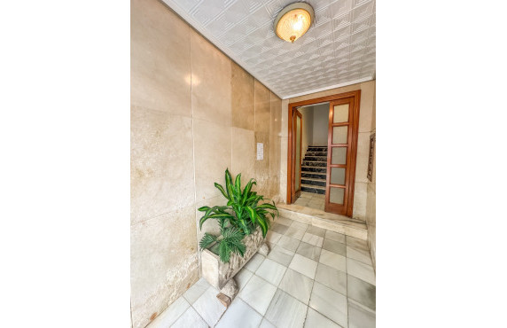 Alquiler Larga Estancia - Piso - Elche - OSCAR ESPLA