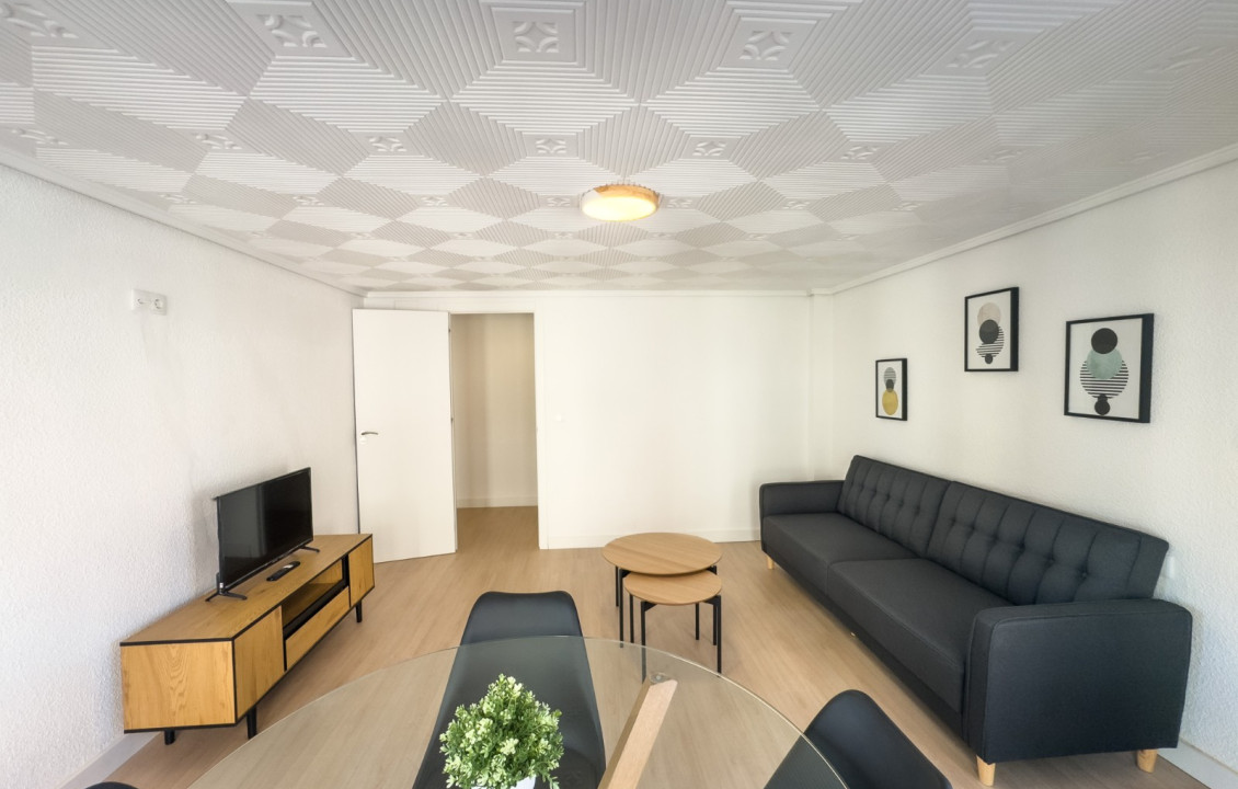 Alquiler Larga Estancia - Piso - Elche - OSCAR ESPLA