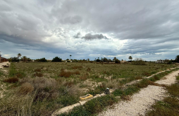 Venta - Parcela - Perleta - Maitino-Perleta