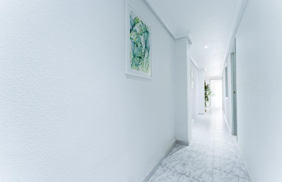 Venta - Mezzanine - Elche - Asilo - Pisos Azules