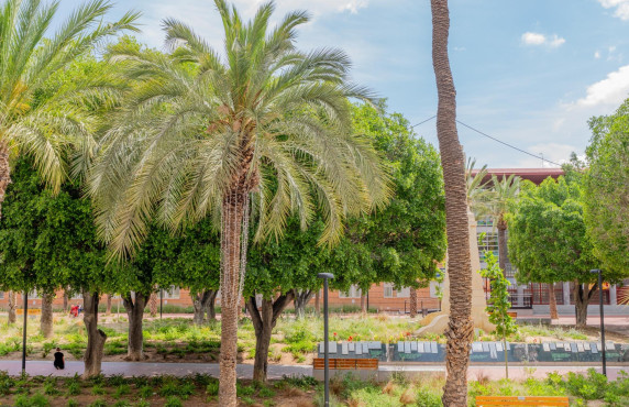 Venta - Mezzanine - Elche - Asilo - Pisos Azules