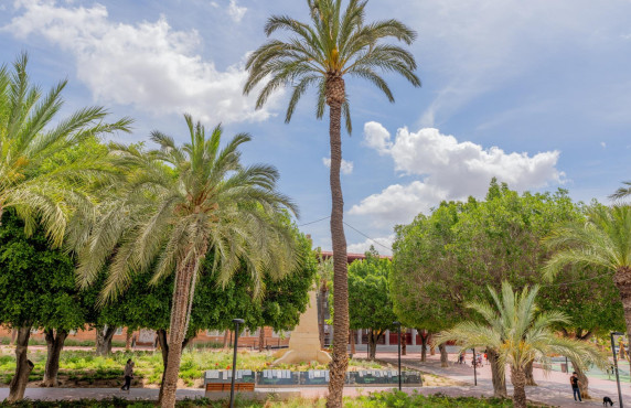 Venta - Mezzanine - Elche - Asilo - Pisos Azules