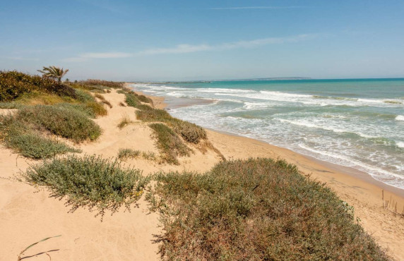 For Sale - Apartment - Guardamar del Segura