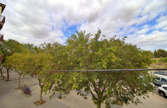 Venta - Piso - Elche - San Crispín