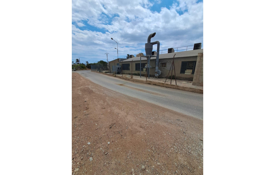 Venta - Industrial unit - Elche pedanias - Algoros