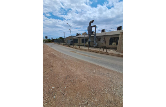 Venta - Industrial unit - Elche pedanias - Algoros