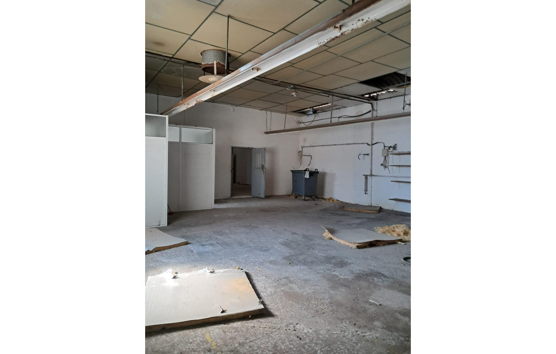 Venta - Industrial unit - Elche pedanias - Algoros