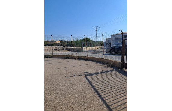 Venta - Industrial unit - Elche pedanias - Algoros