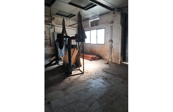 Venta - Industrial unit - Elche pedanias - Algoros