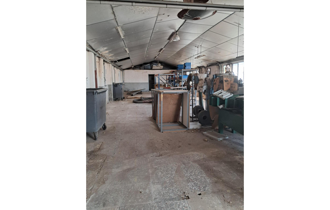 Venta - Industrial unit - Elche pedanias - Algoros