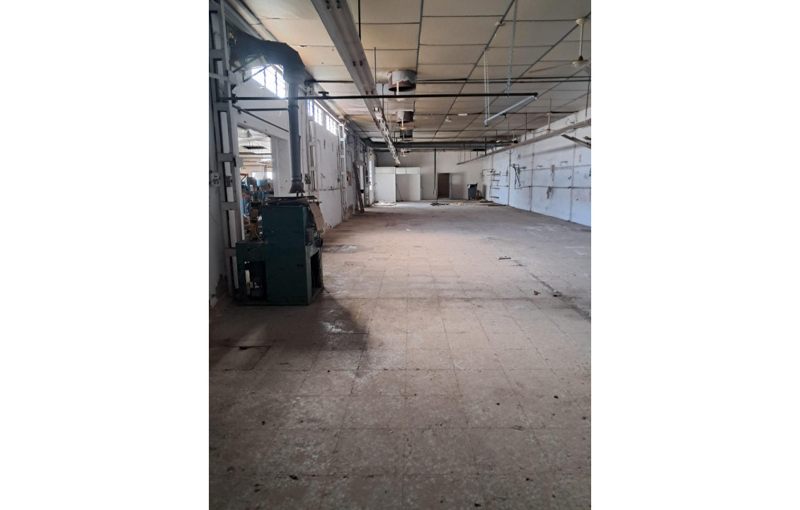 Venta - Industrial unit - Elche pedanias - Algoros