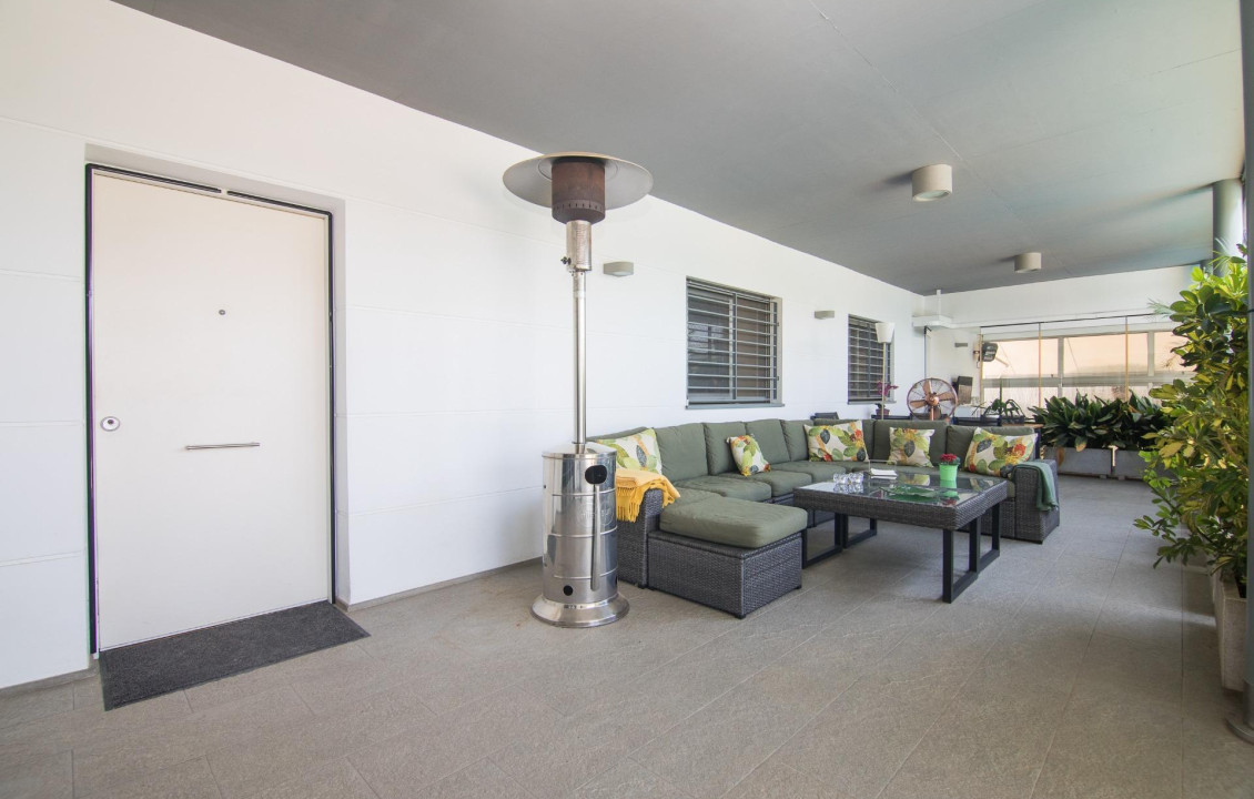 Venta - villa - Elche - Ciudad Jardin