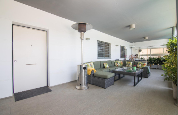 Venta - villa - Elche - Ciudad Jardin